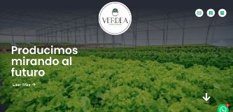 Diseño Web - Verdea.com.ar