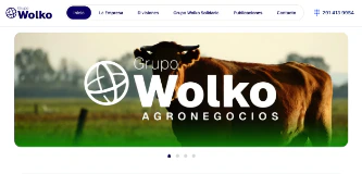 Web Design - Grupo Wolko